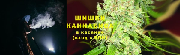 трава Армянск