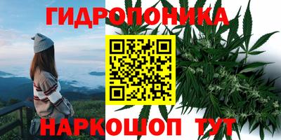 прущая мука Гай