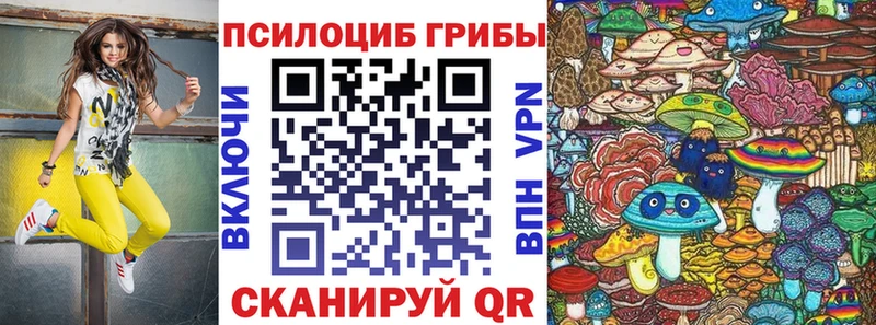 ссылка на мегу ТОР Гатчина darknet официальный сайт Галлюциногенные грибы Psilocybine cubensis