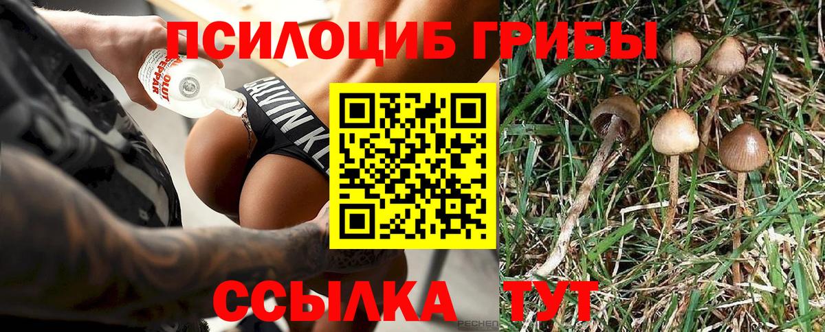 Псилоцибиновые грибы Magic Shrooms Гатчина