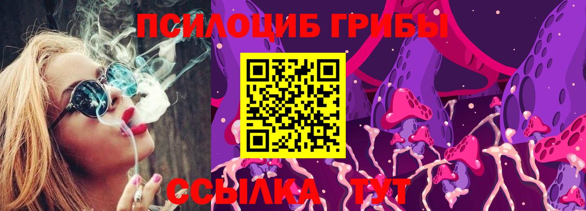 Псилоцибиновые грибы Psilocybe  Вход с VPN  Гатчина 