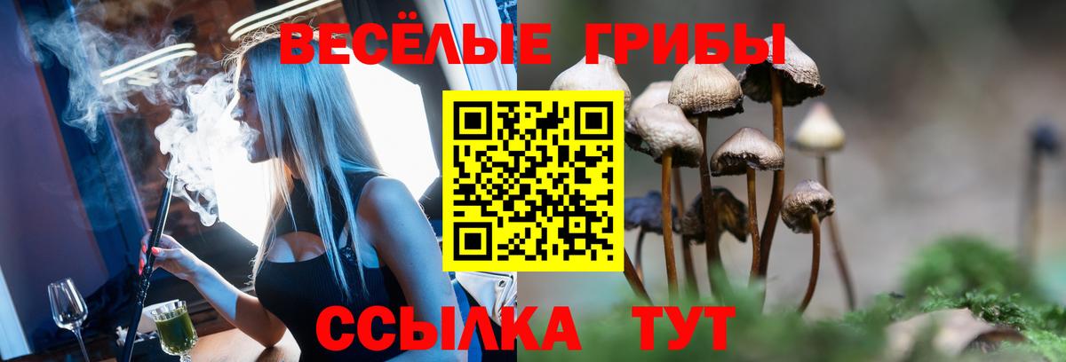 Псилоцибиновые грибы ЛСД Гатчина